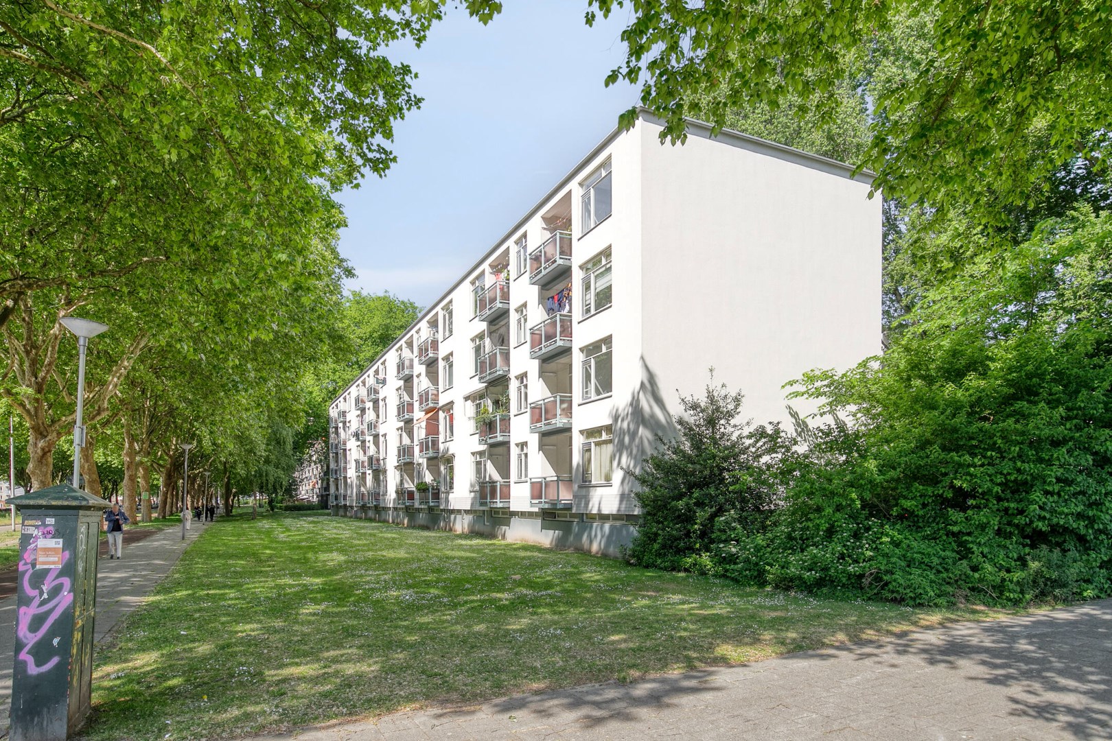 Licht, luxe en instapklaar wonen in Het Lage Land! 