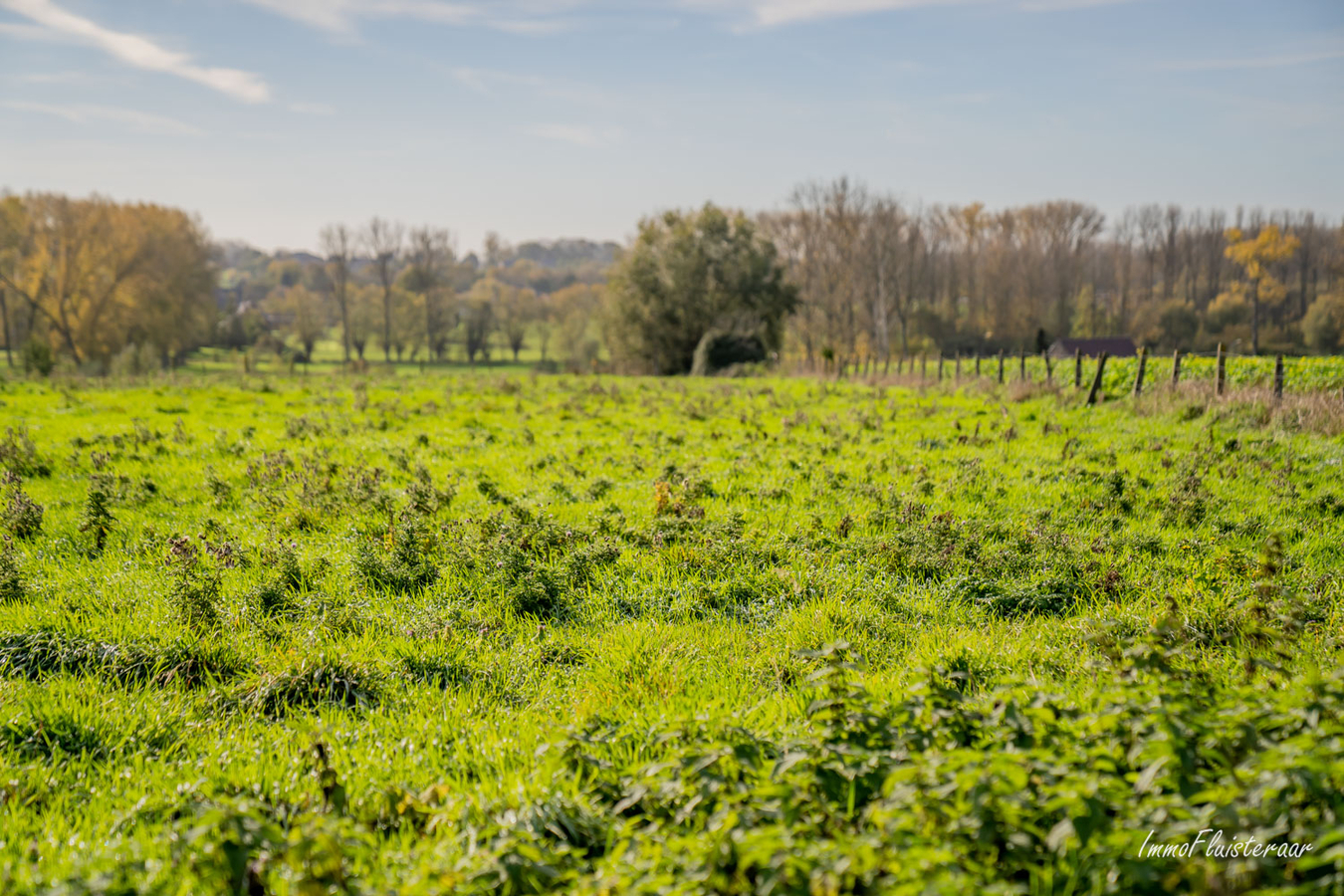 Prairie vendu À Galmaarden