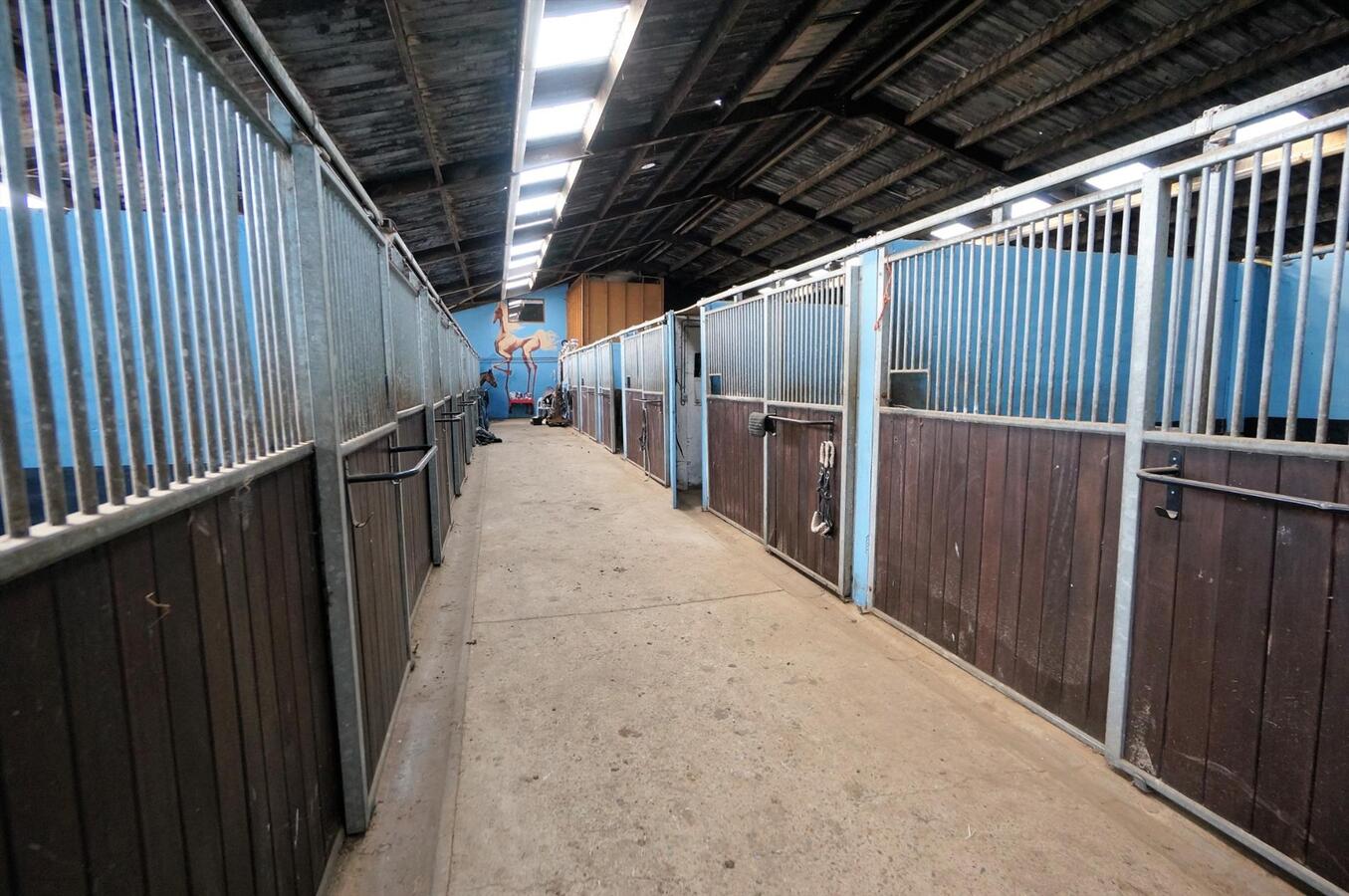 Ferme vendu À Loenhout