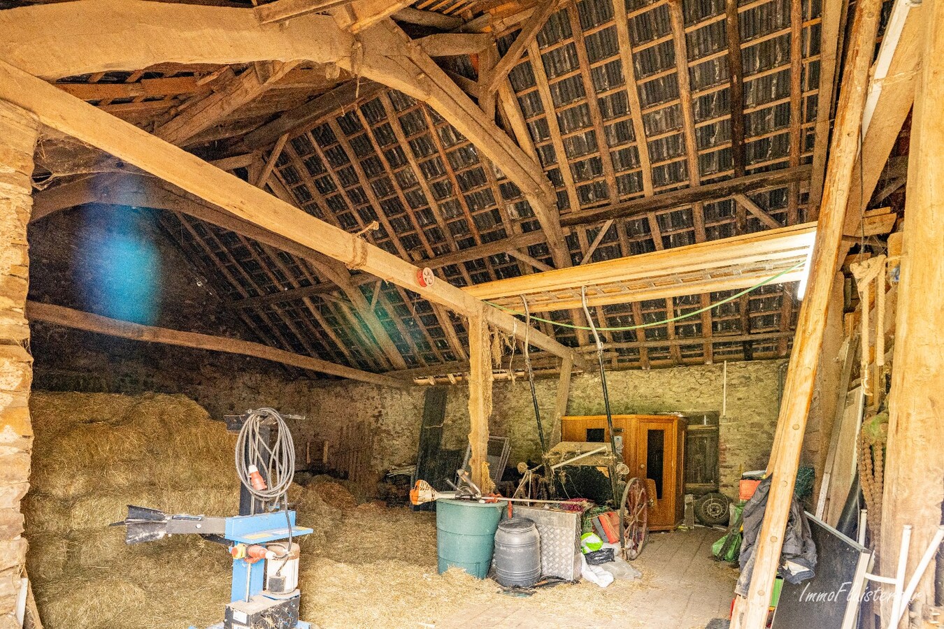 Interessant eigendom met paardenfaciliteiten omgeven door groen op ca. 43 are te Burg-Reuland (Luik) 