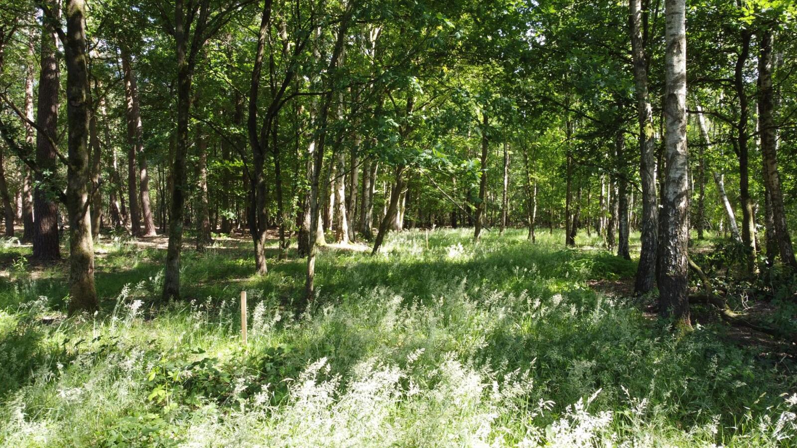 Uitzonderlijk rustig gelegen perceel van 2.500 m&#178; met priv&#233; oprijlaan van ca. 60 m grenzend aan natuurgebied te Brecht. 