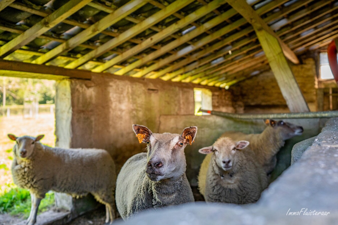 Unieke hoeve op een uitzonderlijke locatie op ca. 5ha te Peer 