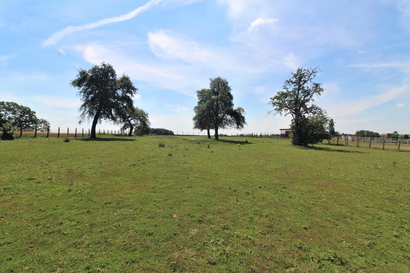 Charmante woning met stalgebouw, piste, zwembad en een omheind weiland op ca. 70a te Tielt-Winge (Vlaams-Brabant) 