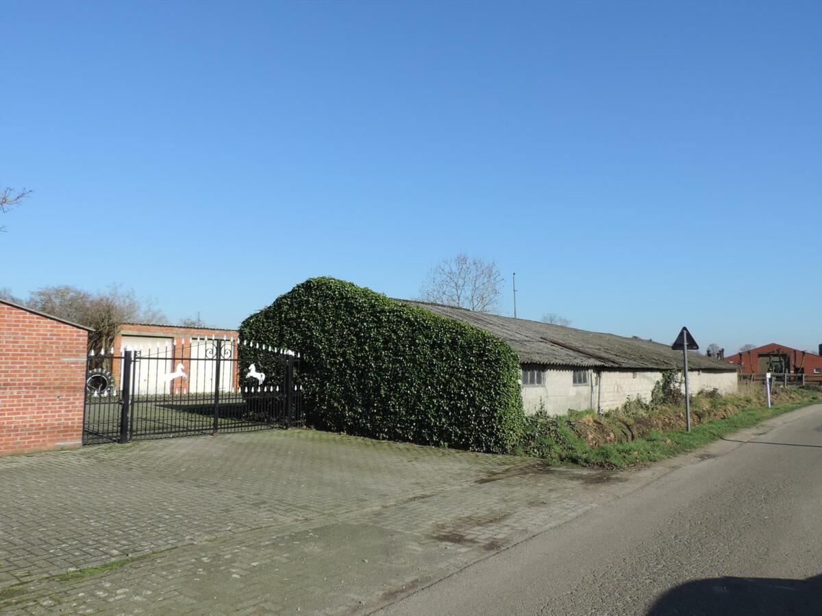 Boerderij met twee wooneenheden en stallen op ca. 1,25ha te Bocholt 