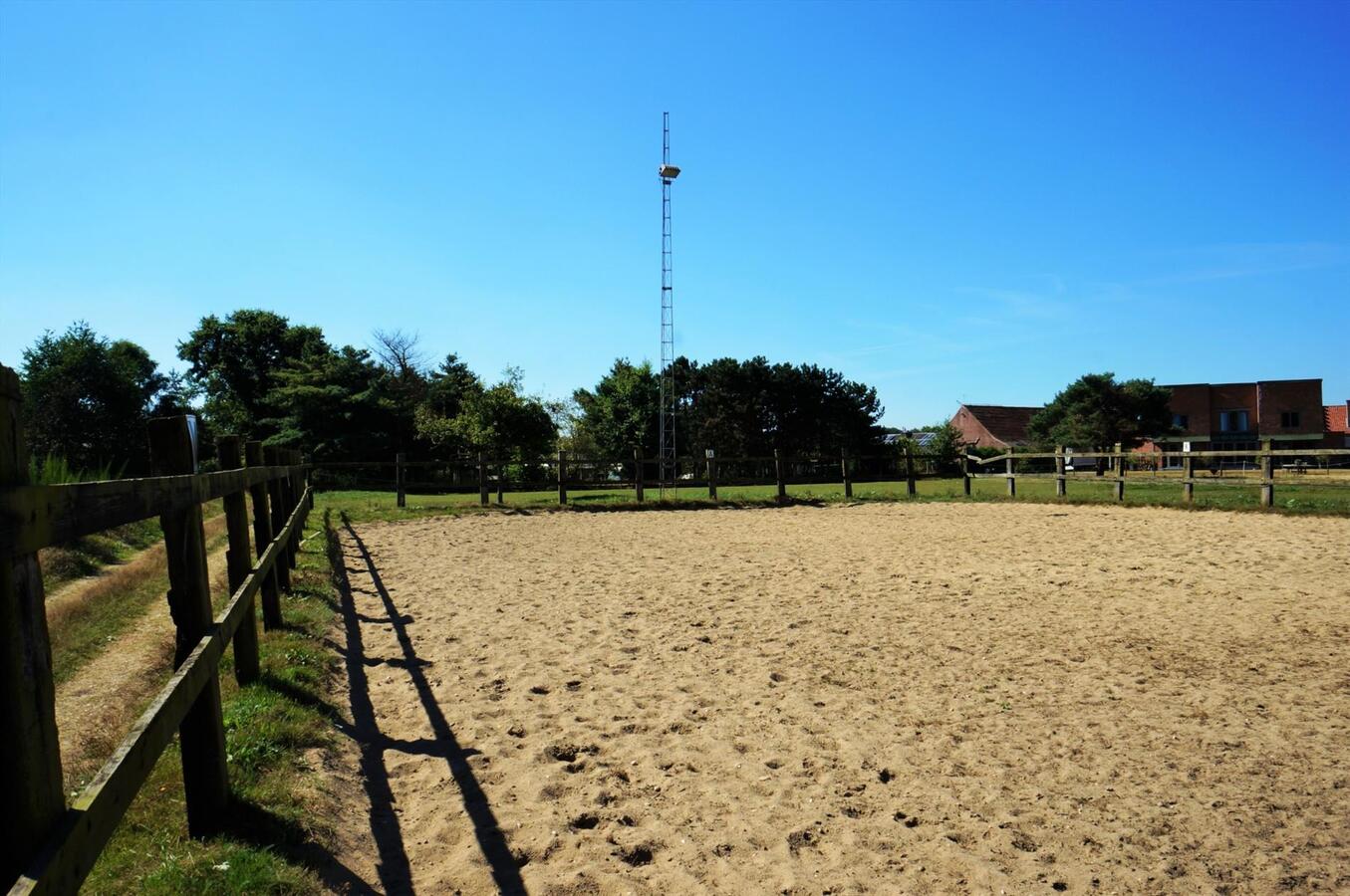 Recente woning op magnifieke locatie met 3 paardenstallen, buitenpiste en weides op ca. 96are te Opoeteren 