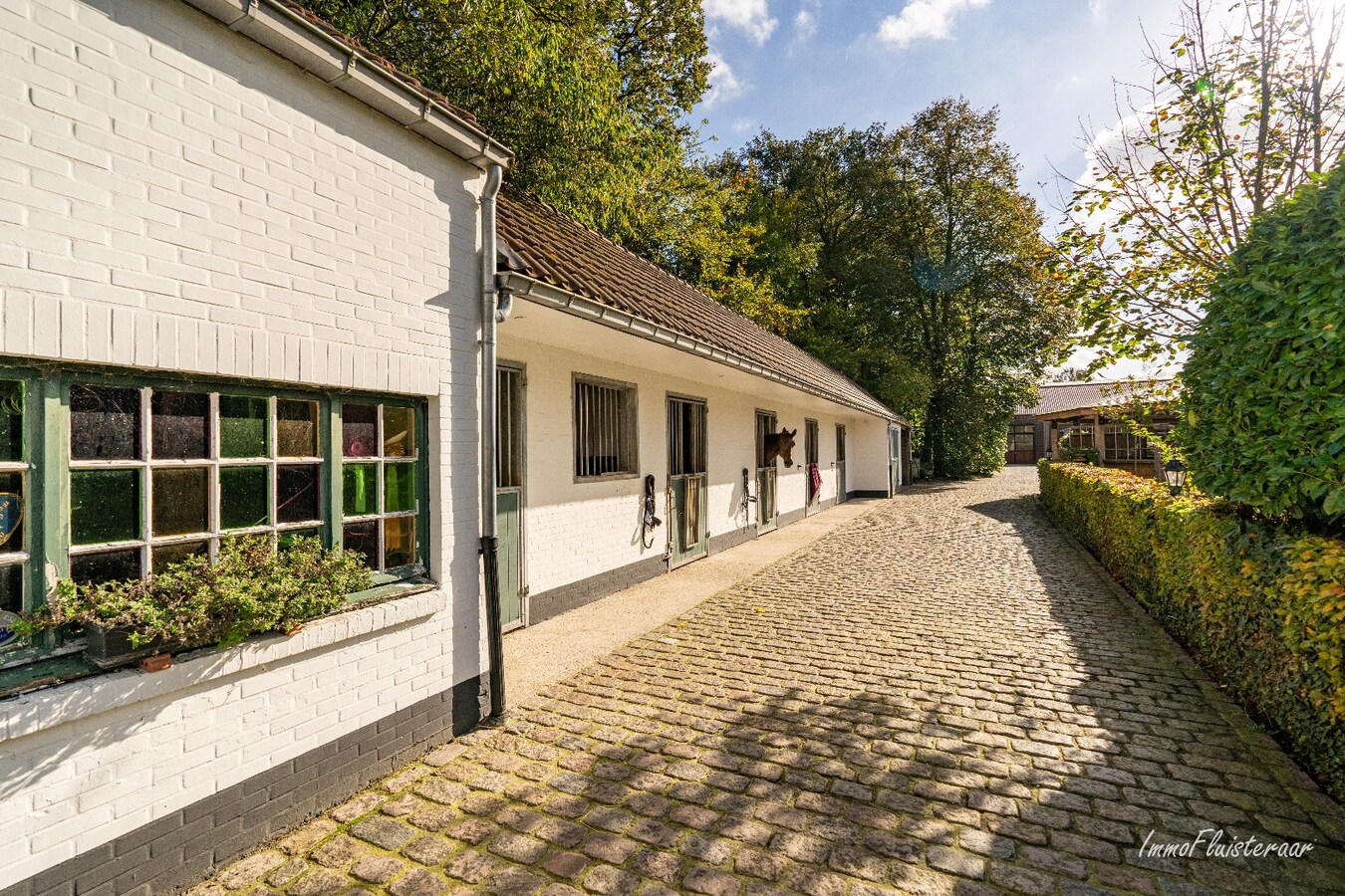 Unieke trainingsstal met prachtige villa op ca. 1 ha te Halle-Zoersel (Mogelijkheid tot aankoop extra weide) 