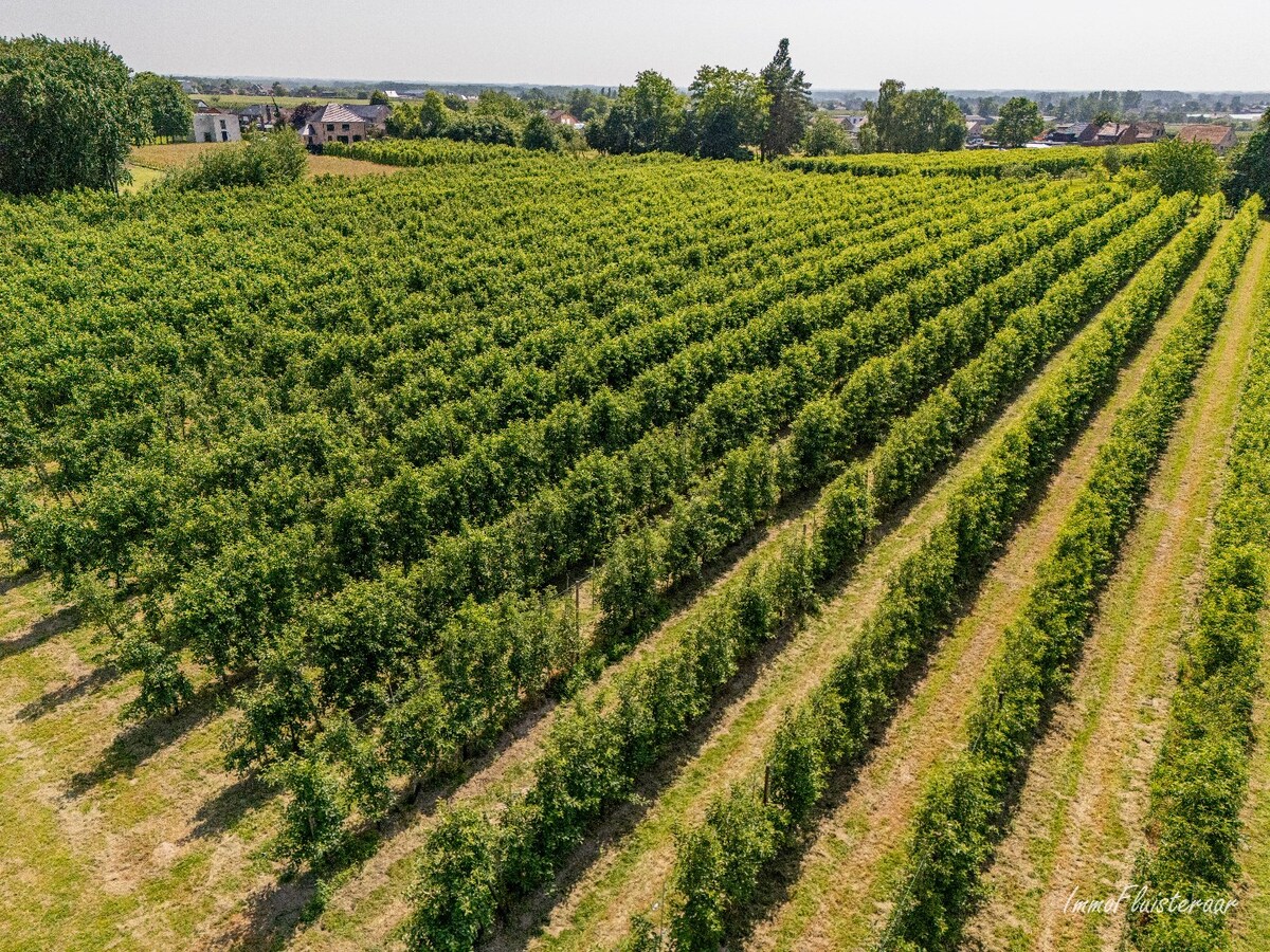 Land for sale in Herk-de-Stad