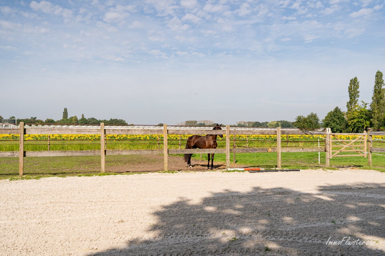 Halfopen woning met stallen, piste en weides op ca. 1,5 ha te Sint-Katelijne-Waver (Optioneel bij te kopen weide van ca. 1 ha) 