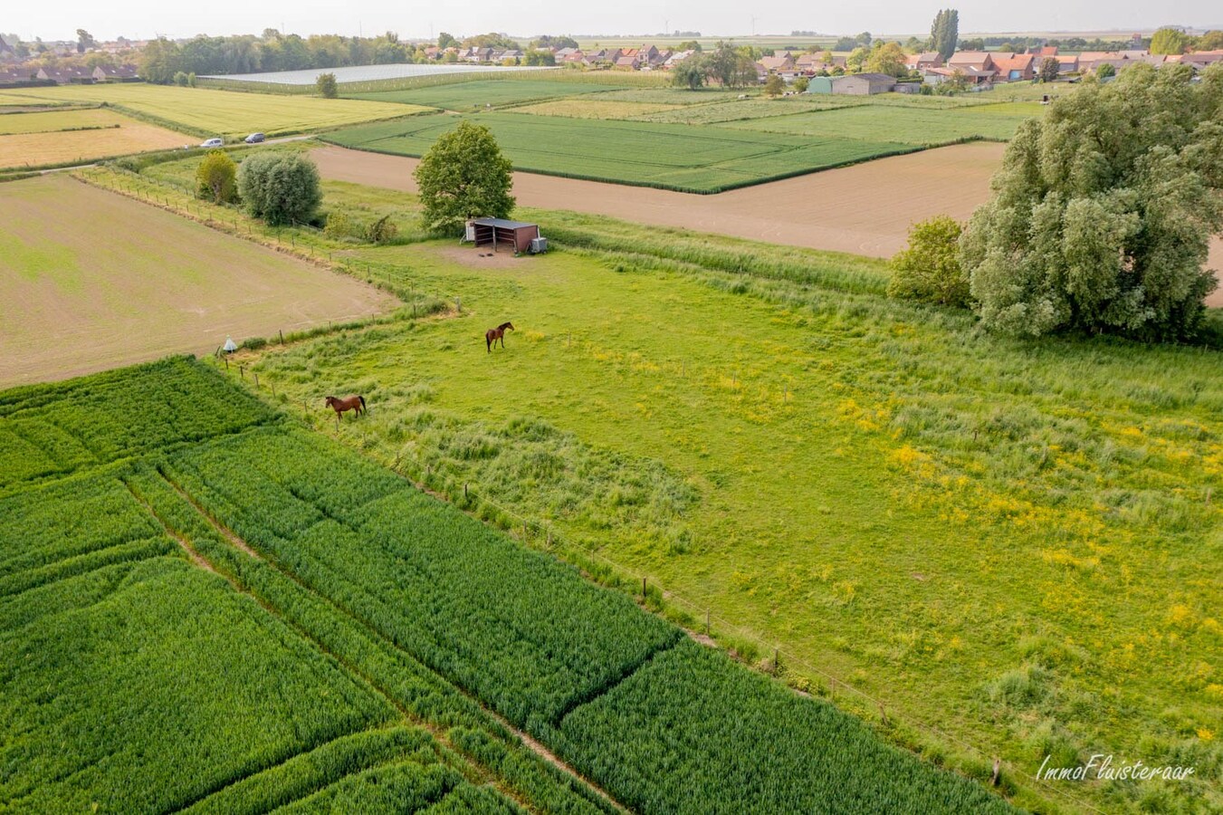 Prachtige woning met paardenaccommodatie op ca. 48a te Landen 