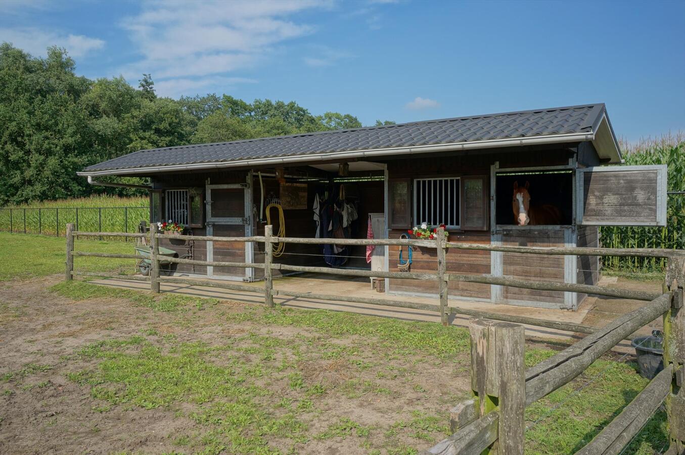 Landhuis met stallen, piste en weide op ca. 3800m&#178; te Neerpelt (Limburg) 