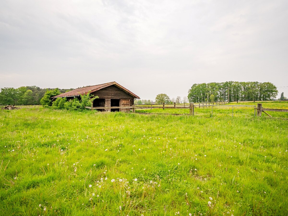 Villa moderne avec des installations &#233;questres sur environ 5,2 hectares &#224; Herselt. 