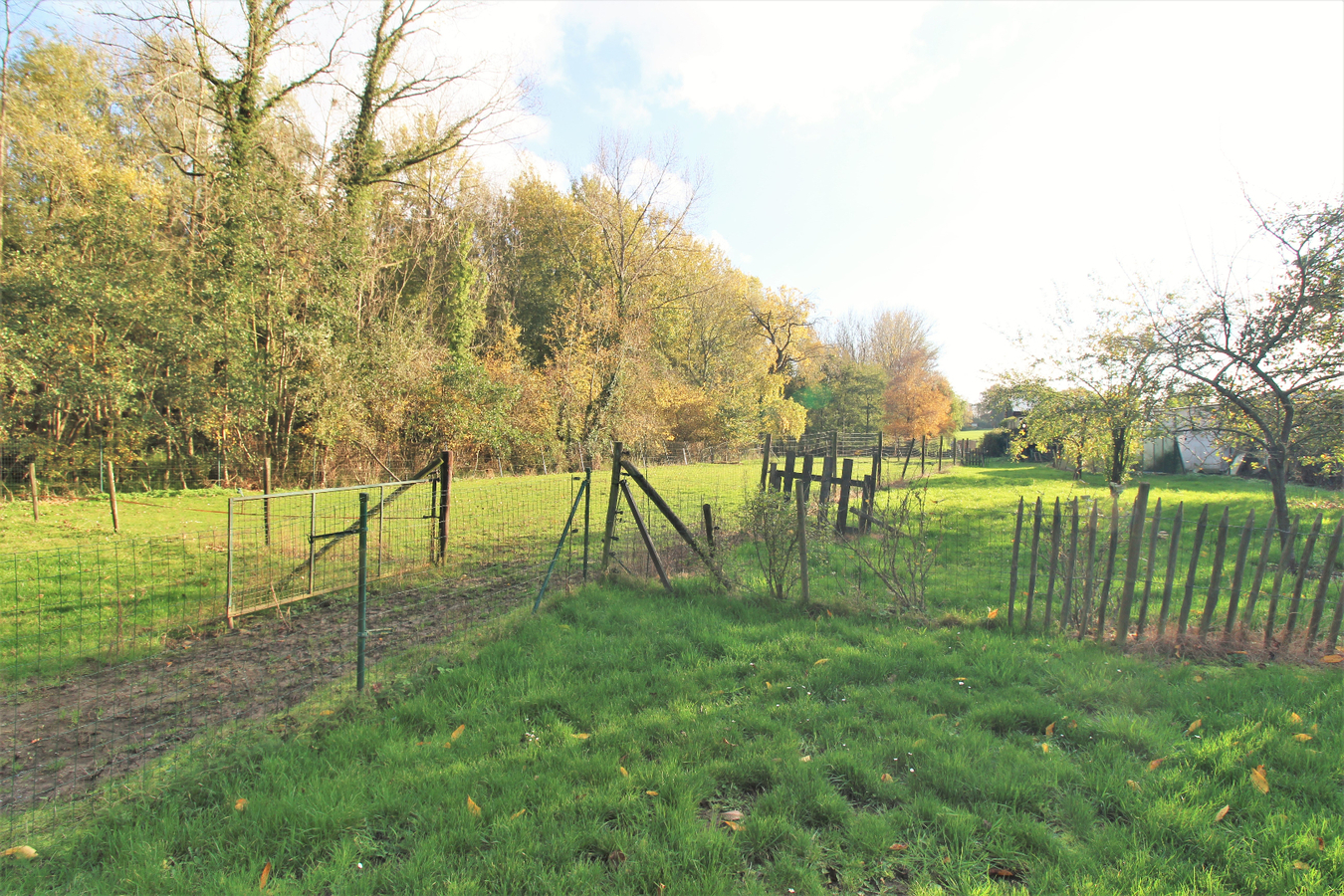 IN OPTIE - Woning (meerdere wooneenheden) met paardenstallen en weiland op ca. 41a te Merchtem (Vlaams-Brabant) 