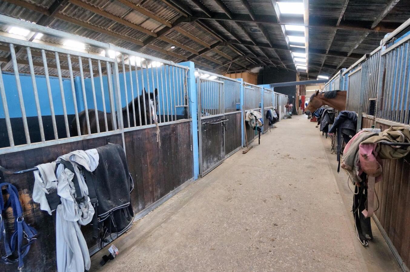 Farm sold in Loenhout