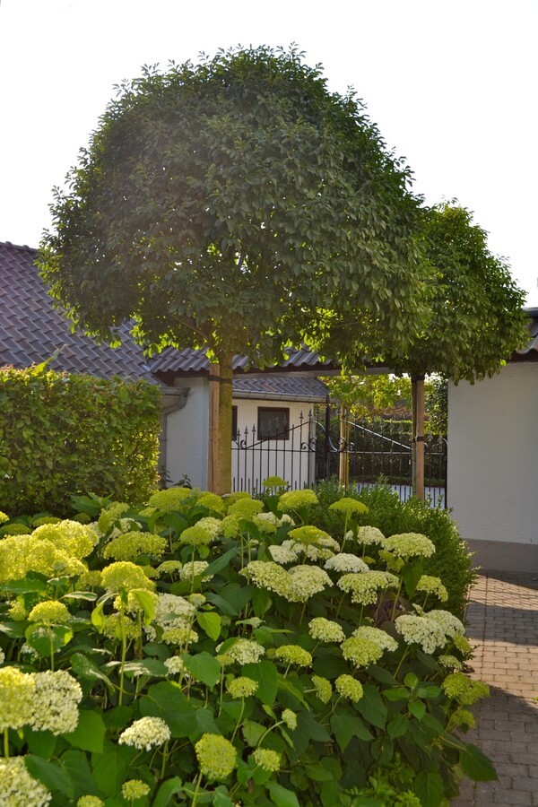 Property sold in Scherpenheuvel