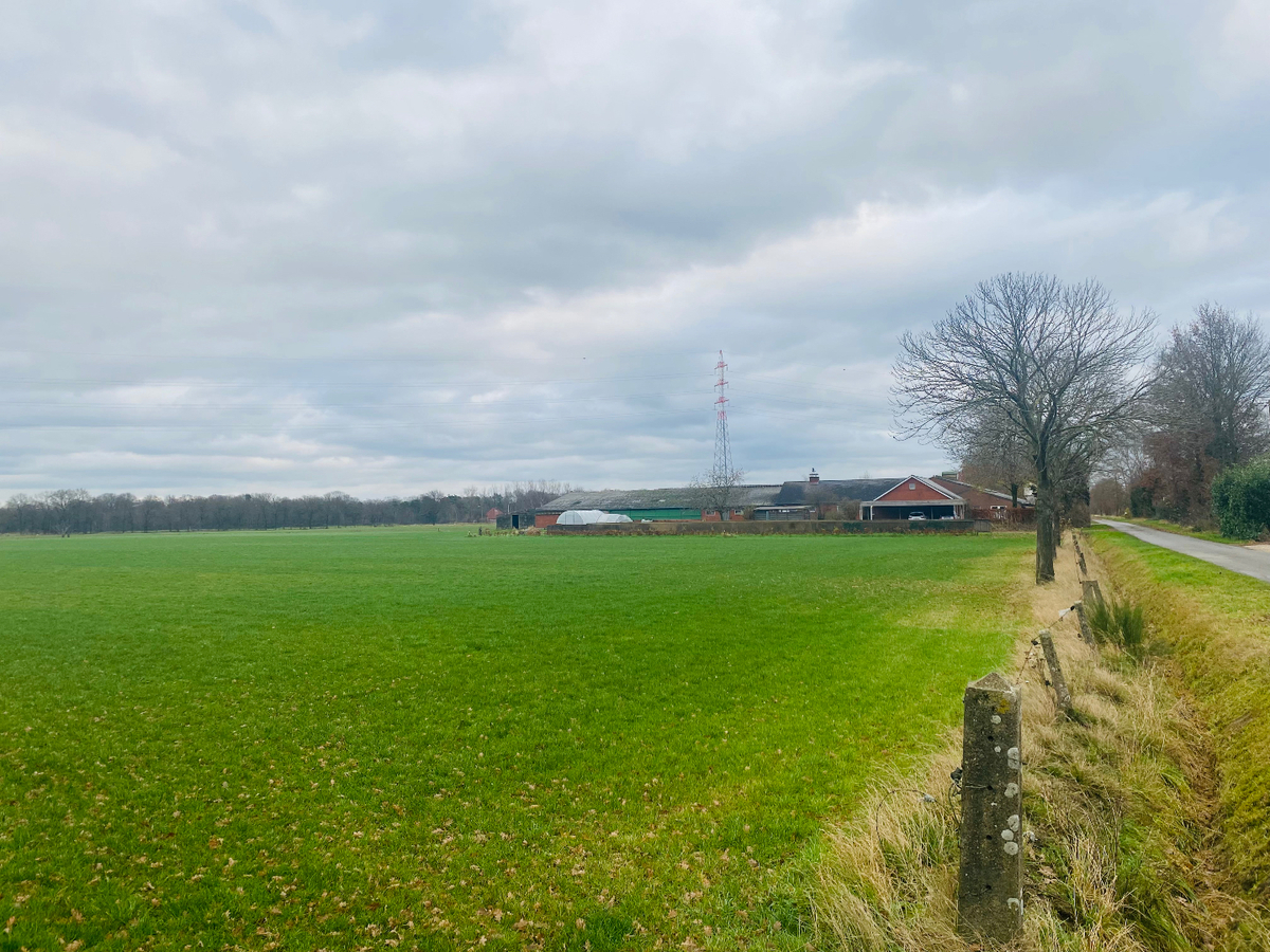 Boerderij met charmante woning, ruime stalgebouwen en weides te koop op ca. 8ha te Bocholt 