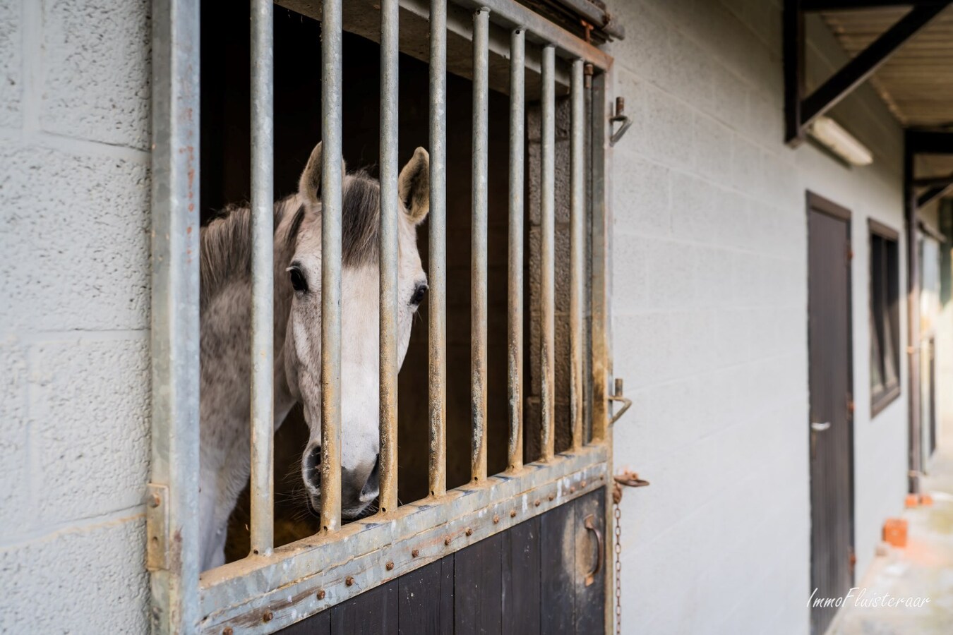 Boerderij met (bedrijfs)woning, loodsen en paardenfaciliteiten op ca 7,4 ha te Asse (Vlaams-Brabant) 