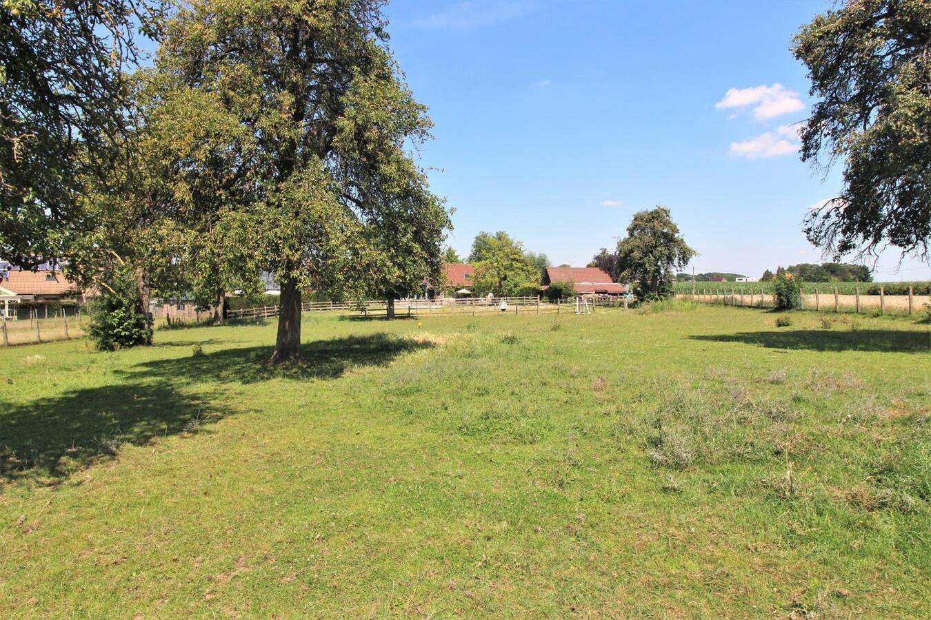 Charmante woning met stalgebouw, piste, zwembad en een omheind weiland op ca. 70a te Tielt-Winge (Vlaams-Brabant) 