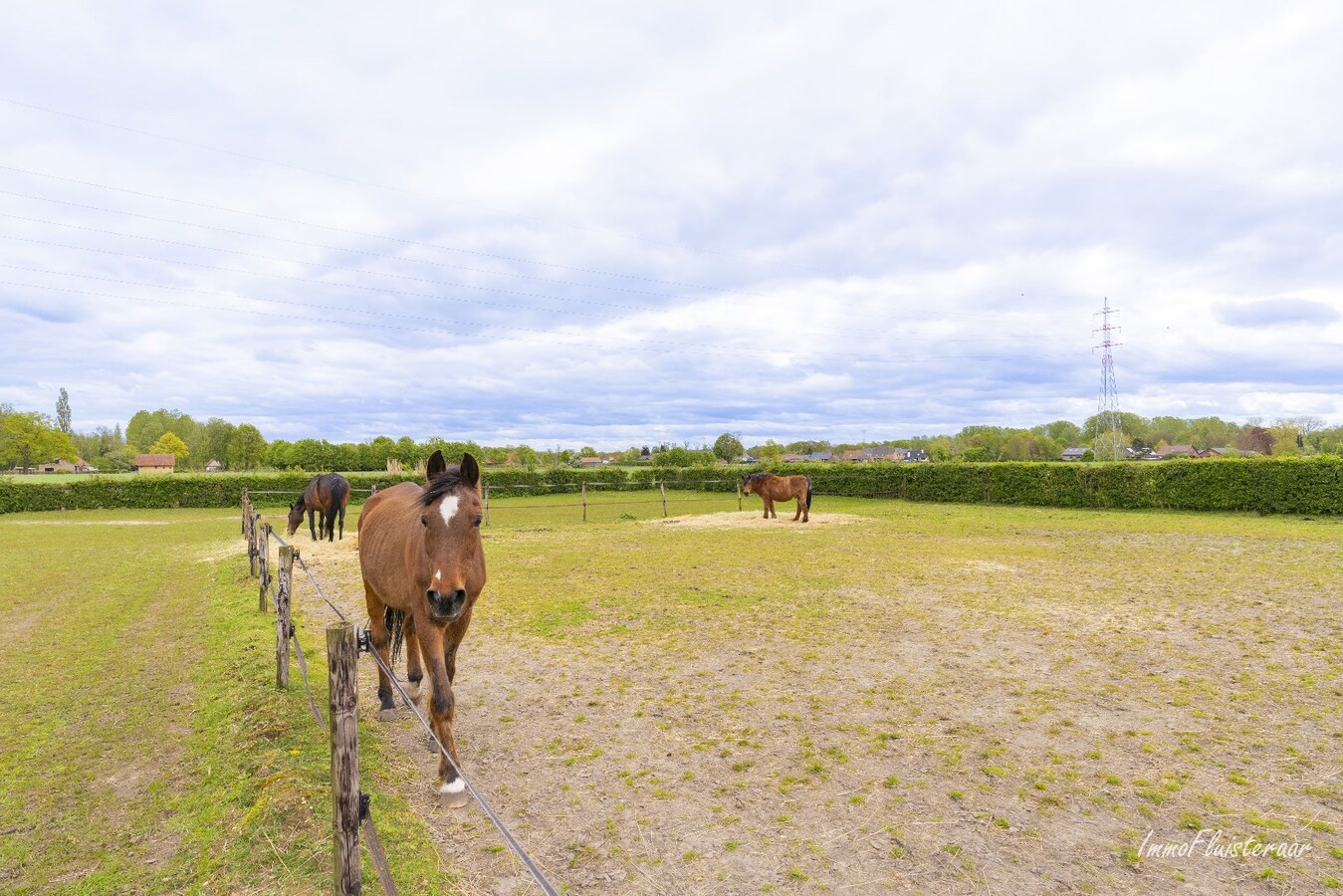 Gezellige woning met stallen op een prachtige locatie te Bocholt (ca. 44a50ca) 