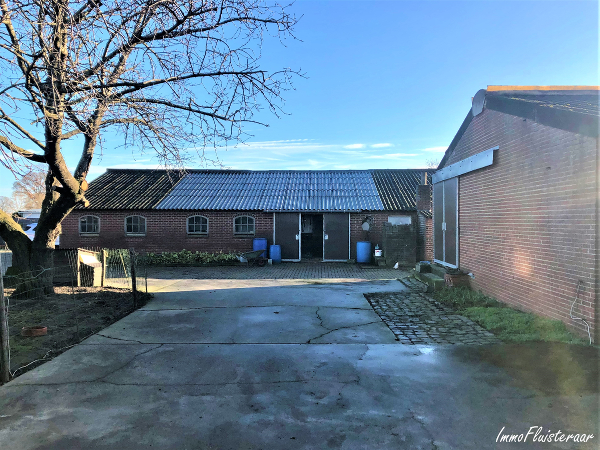 Boerderij met stalgebouwen en weilanden op ca. 1,17ha met uitbreidingsmogelijkheden van 5ha te Bree 