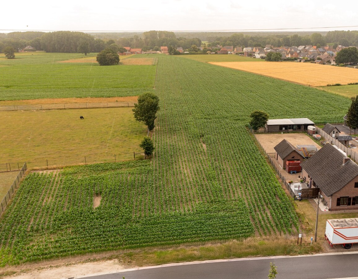 Bouwgrond met achterliggende gronden op ca. 1ha te Wijshagen (Oudsbergen) 