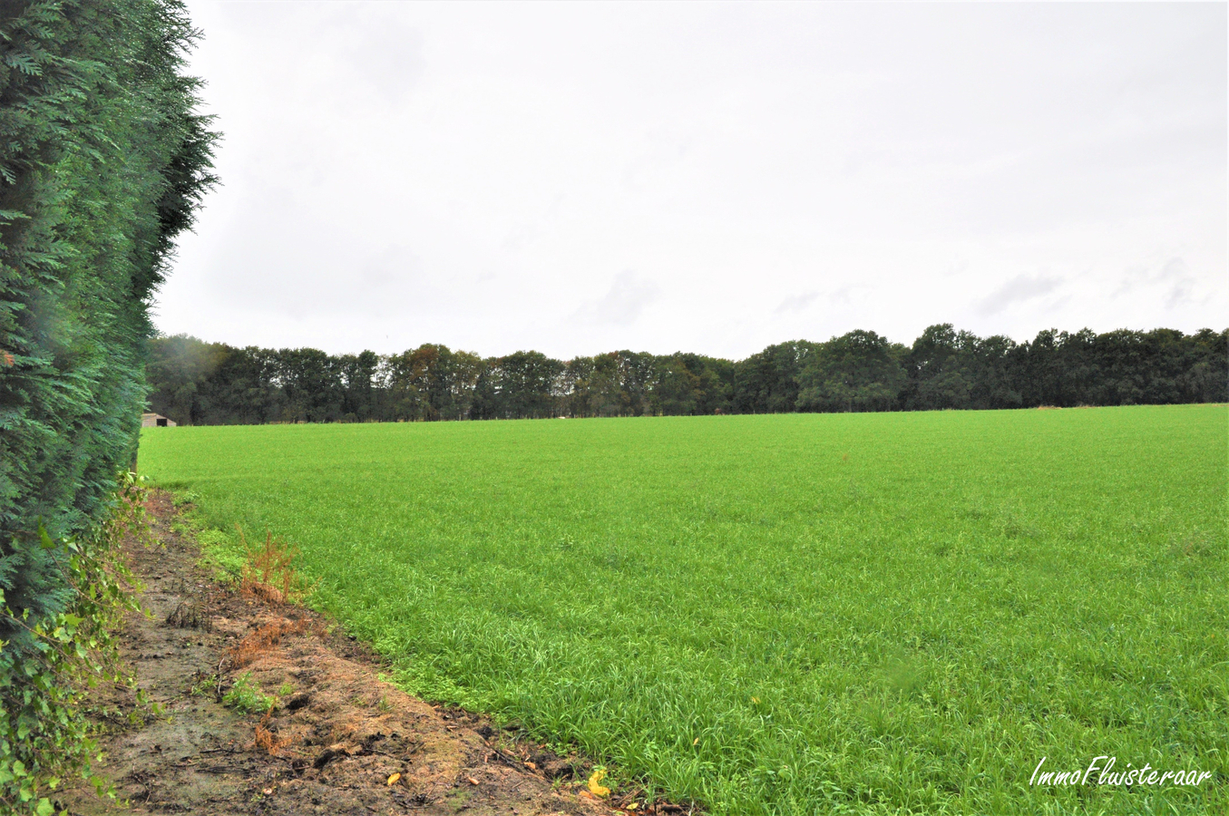 Woning in rustige omgeving op ca. 58a te Bree (ca. 3ha extra mogelijk!) 