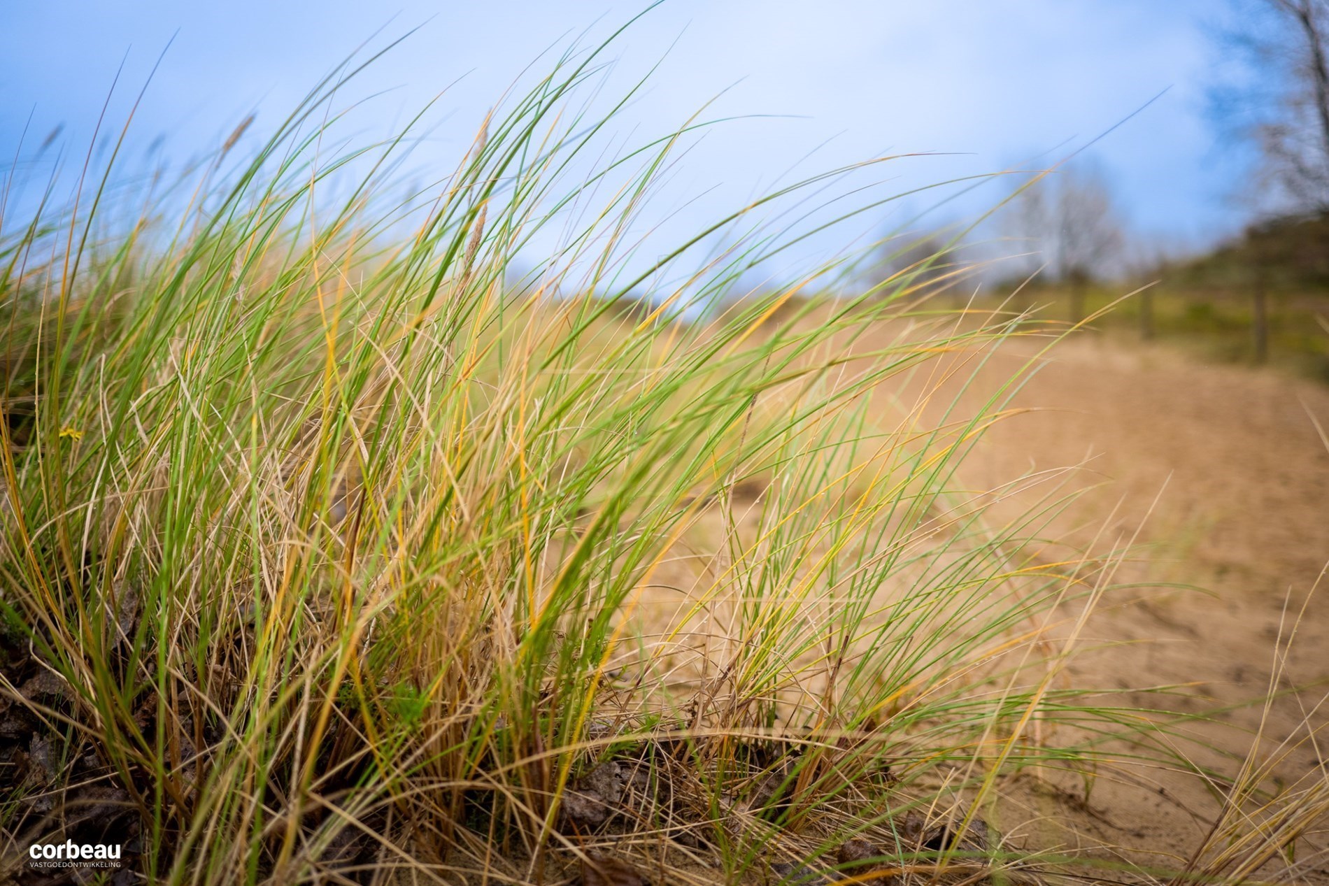 Stijlvol en luxueus wonen in hartje Koksijde nabij de natuur, zee en shopping! 