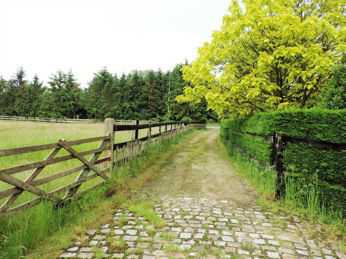 Ferme vendu À Tessenderlo