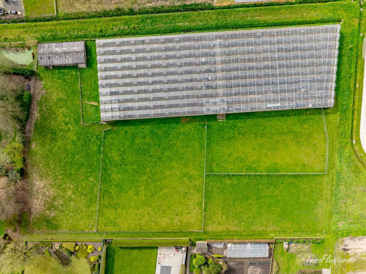 Grande maison avec des prairies et une serre sur environ 1,2 ha &#224; Hoogstraten 