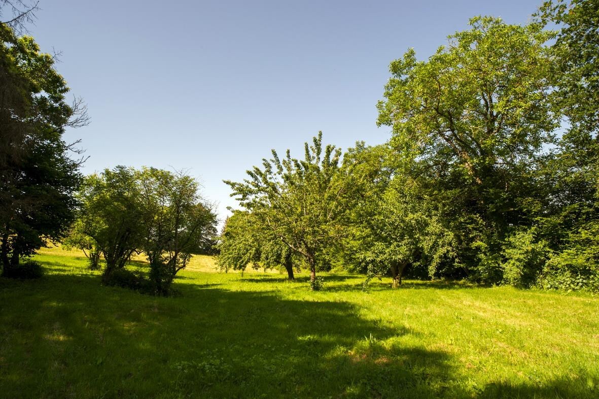 PARADIJS IN ZUID FRANKRIJK 