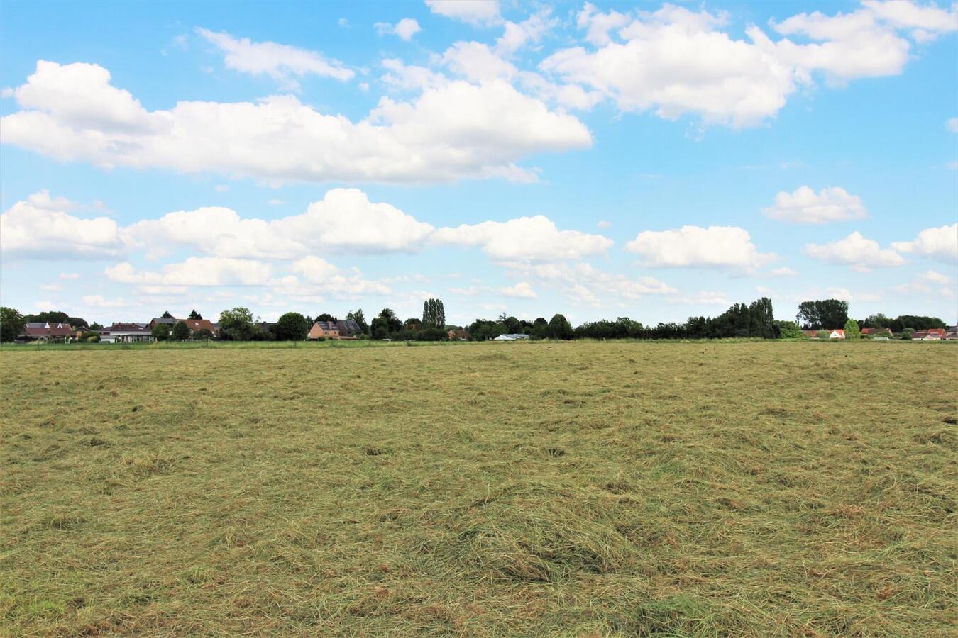 Te renoveren boerderij met loods op ca. 74a te Zemst (Vlaams-Brabant) 