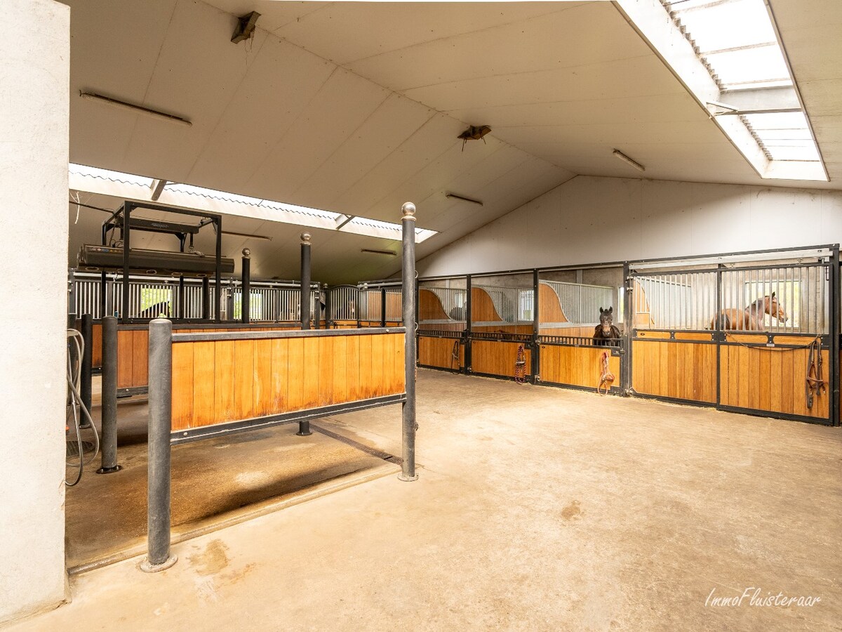 Beautiful equestrian accommodation on appr.  2.4 ha/5,94 acres in Meerle/Hoogstraten 