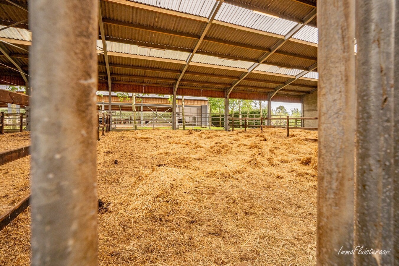 Charming farmhouse with horse breeding on approx. 4.5 ha/11,12 acres in Herentals (Antwerp) 