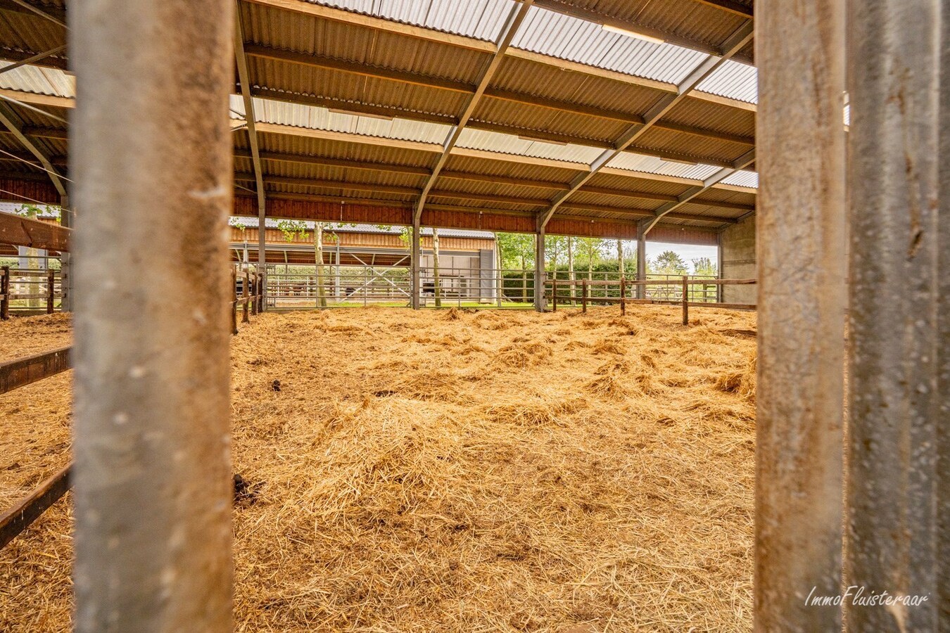 Charmante hoeve met paardenfokkerij op ca. 4,5 Ha te Noorderwijk 