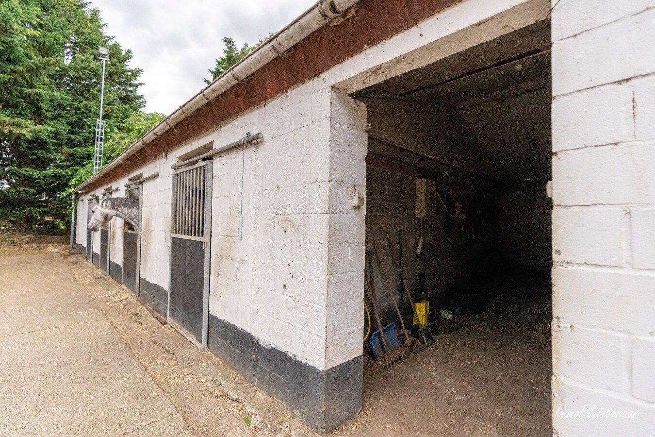 Paardenaccommodatie met 46 stallen, buitenpiste en hangaar op ca. 55 are te Linkhout (Lummen) 