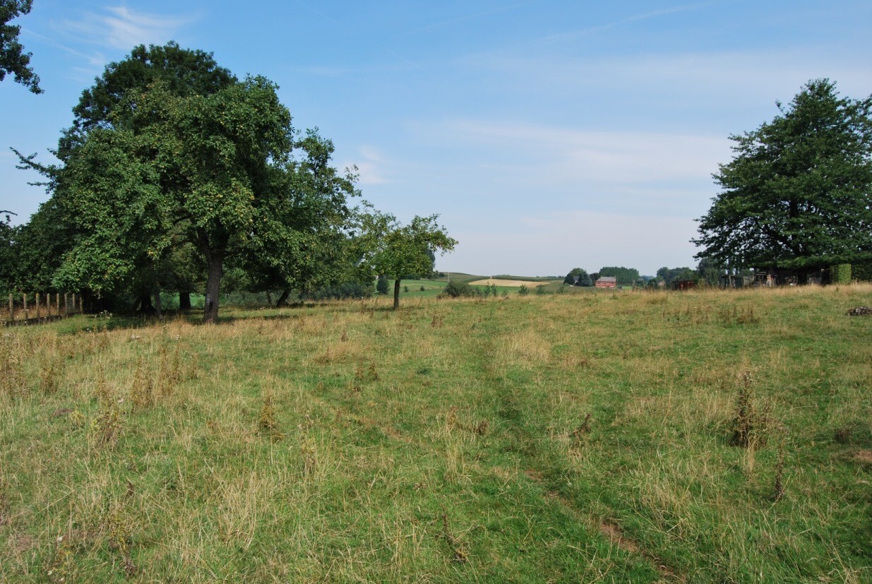 Herenhoeve op 6029m&#178; te Gooik 