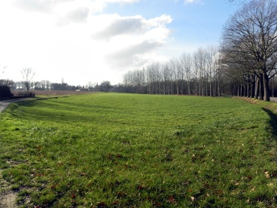 Te renoveren boerderij op 1.74 Ha te Meeuwen-Gruitrode 