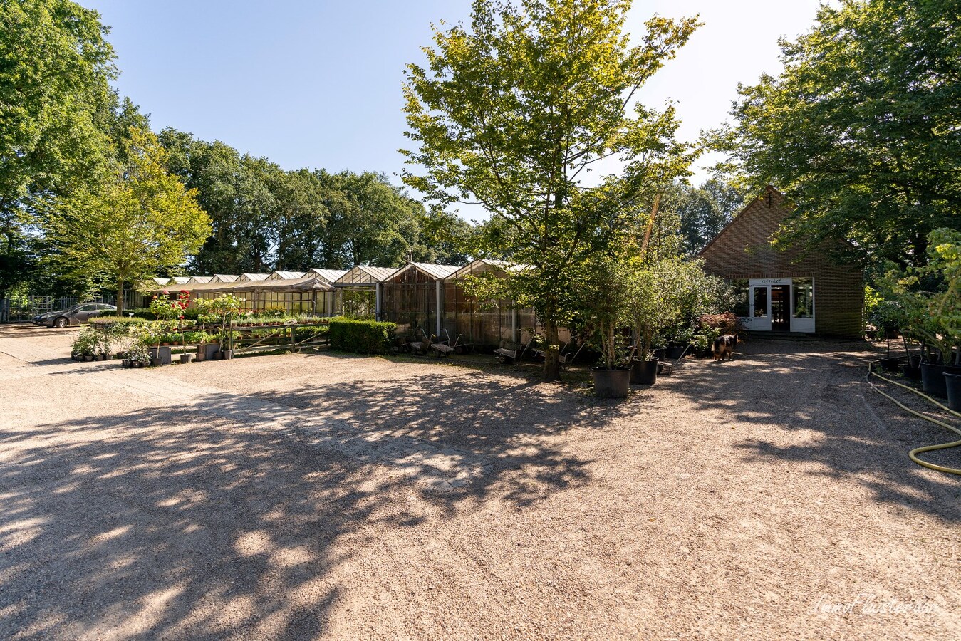 Beautiful villa with outbuildings and conservatories on approximately 5 hectares in Itegem. 