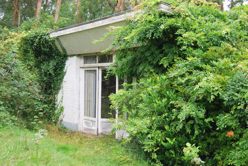 Bouwgrond/volledig te verbouwen woning op ca. 2ha te Waasmunster 