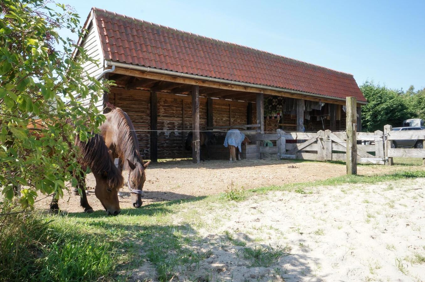 Farm sold in Merksplas