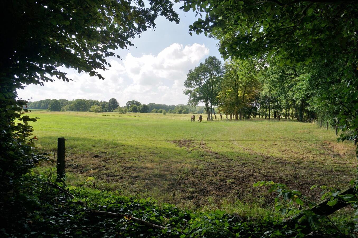 Te renoveren boerderij op unieke locatie op ca. 10ha te Diest 