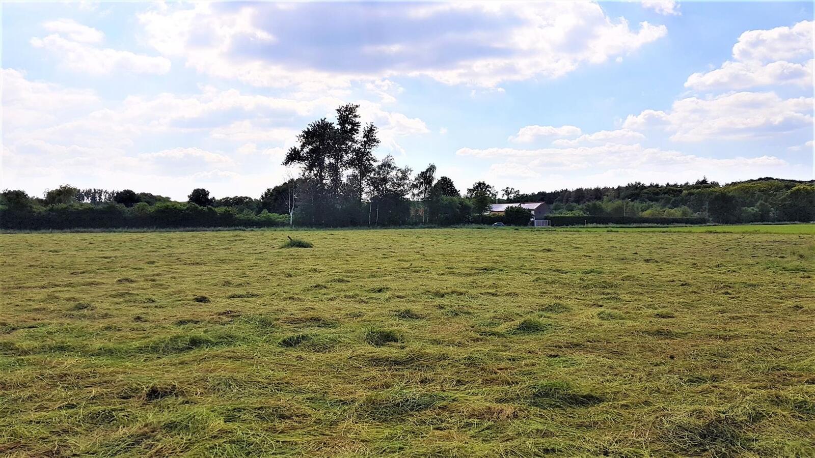 Ferme vendu À Tessenderlo