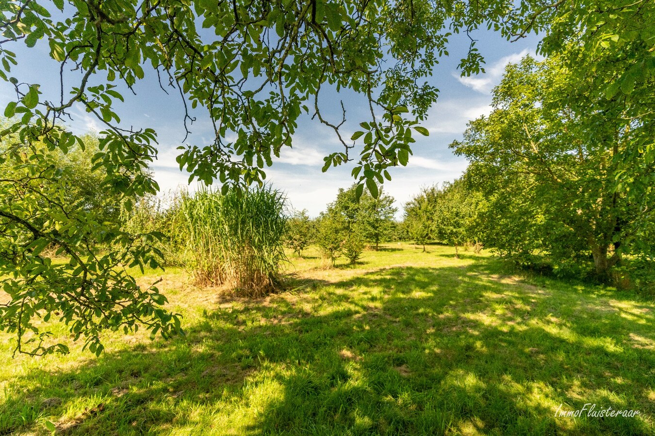 Instapklare landelijke villa op een ruim perceel van ca. 65a te Meensel-Kiezegem (Tielt-Winge). 