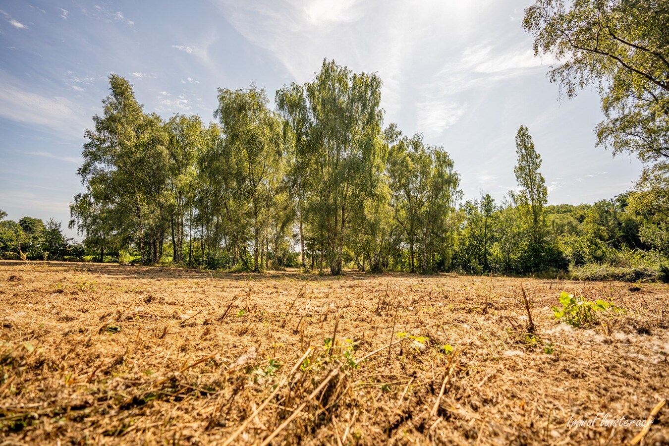 Maison soign&#233;e avec 4 &#233;curies sur environ 75 ares &#224; Tielt-Winge (Brabant flamand) 