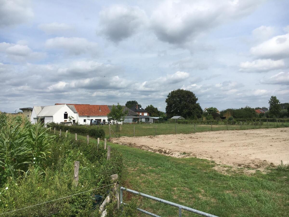 Ferme vendu À Herk-de-Stad