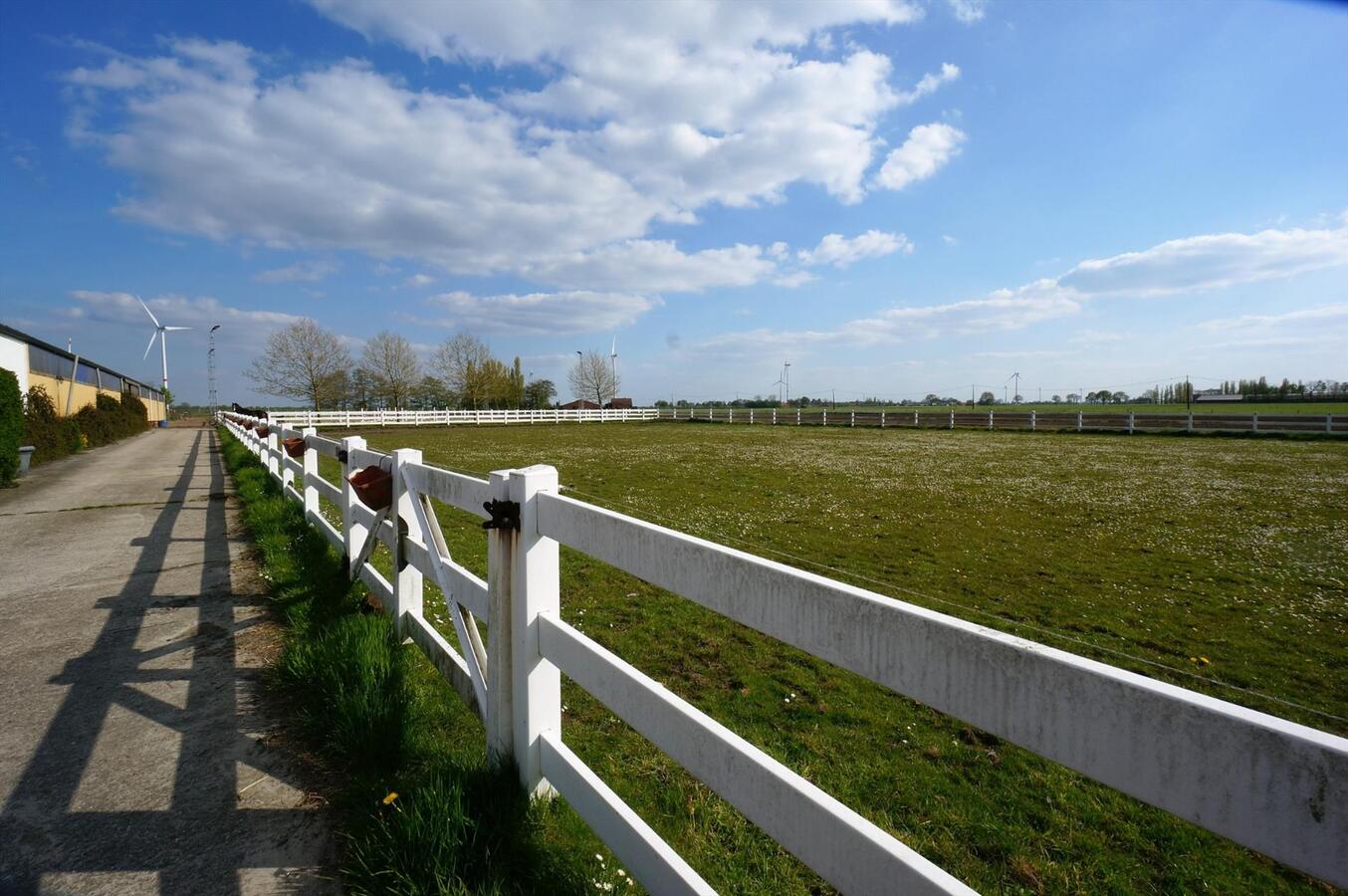 Farm sold in Loenhout