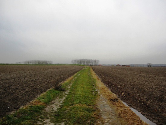 Vierkantshoeve omringd door ca. 12 ha grond 