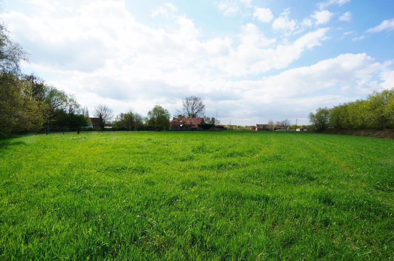 Volledig gerenoveerde hoeve op ca. 1ha te Sint-Katelijne-Waver 