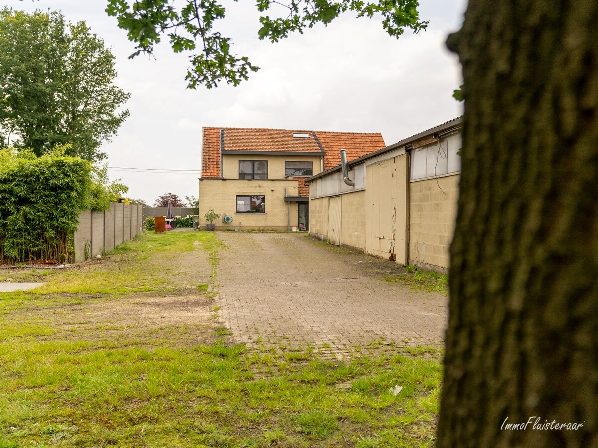 Ruime woning met stalgebouw en weide op ca. 1,1 ha te Wuustwezel 