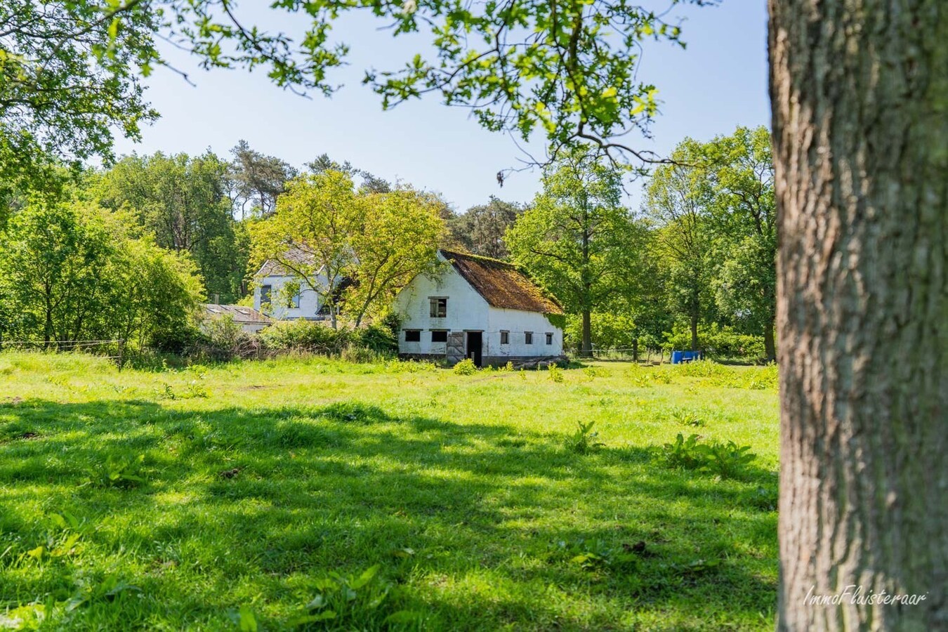 Hoeve op een uitzonderlijke locatie op ca. 5ha te Ham 