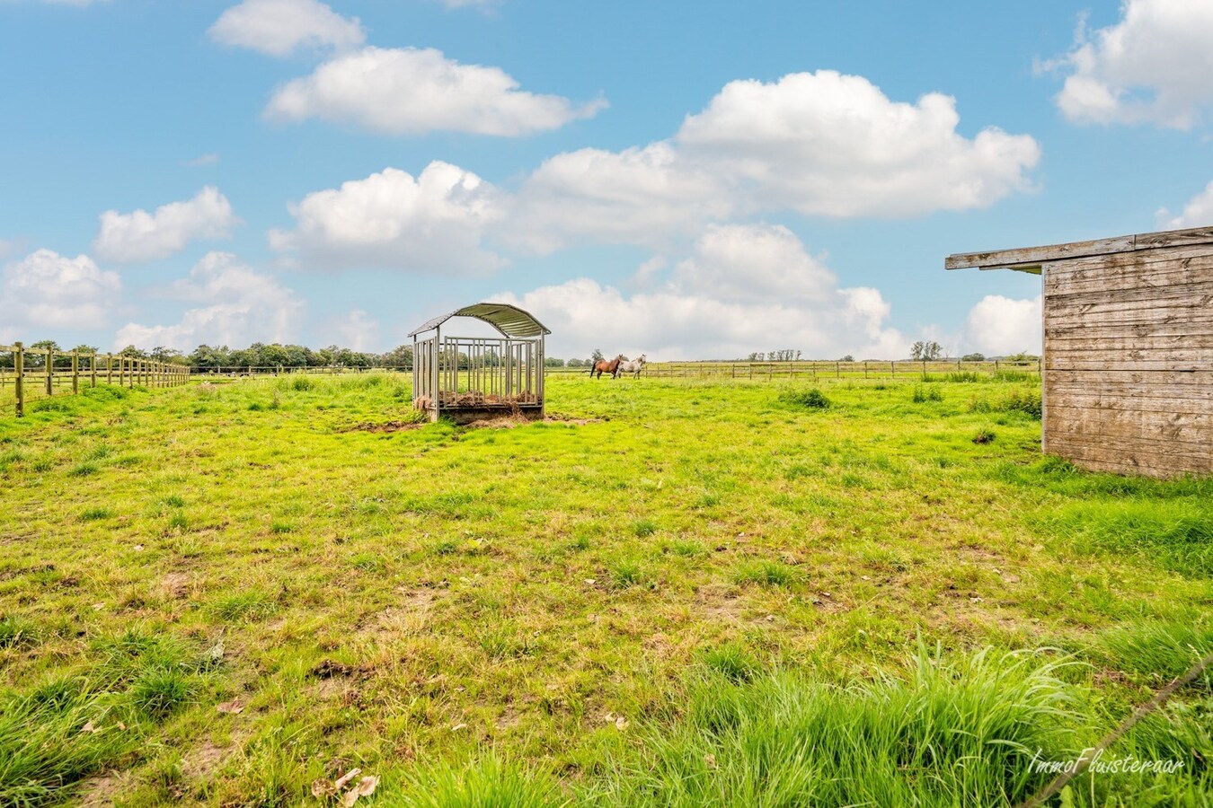 Charmante hoeve met paardenfokkerij op ca. 4,5 Ha te Noorderwijk 